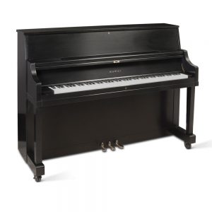 UST-9 Satin Ebony