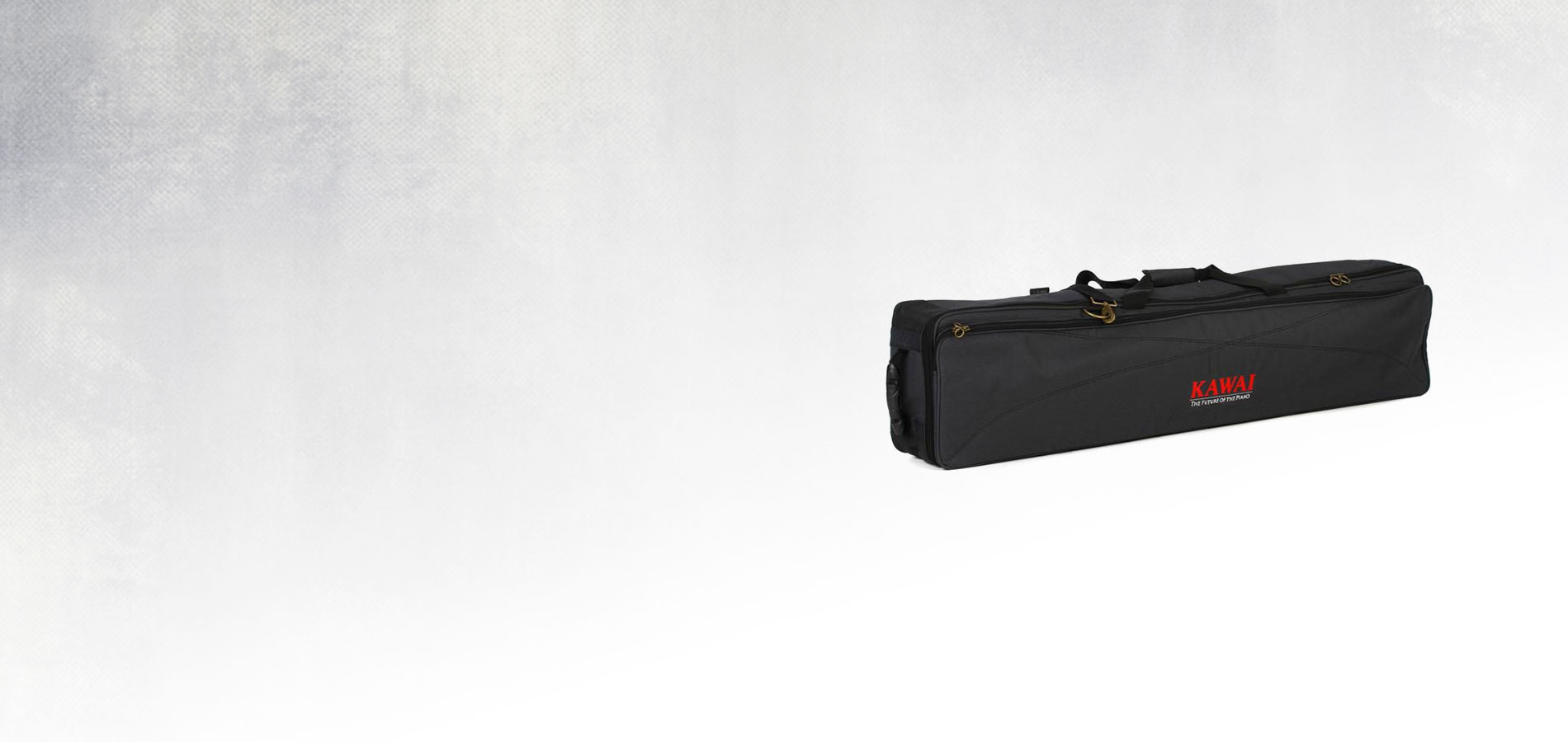 SC-2 Soft Carry Case