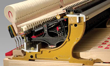 ABS-Carbon Action Parts